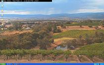 Winery in Austrailia