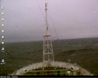 Green Peace ship at sea