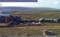 Shetlands